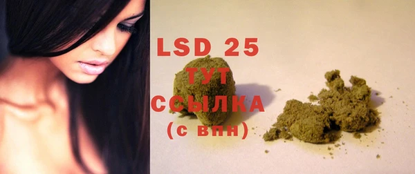PSILOCYBIN Абаза