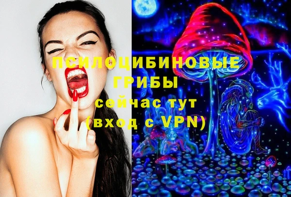 PSILOCYBIN Абаза