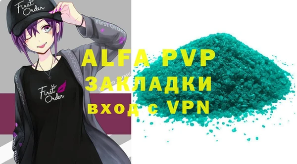 индика Новокубанск