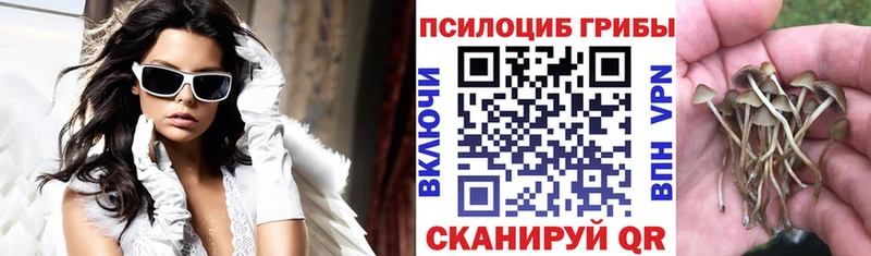купить закладку  Магнитогорск  Галлюциногенные грибы прущие грибы 